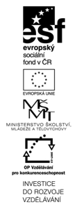 Logo ESF EU